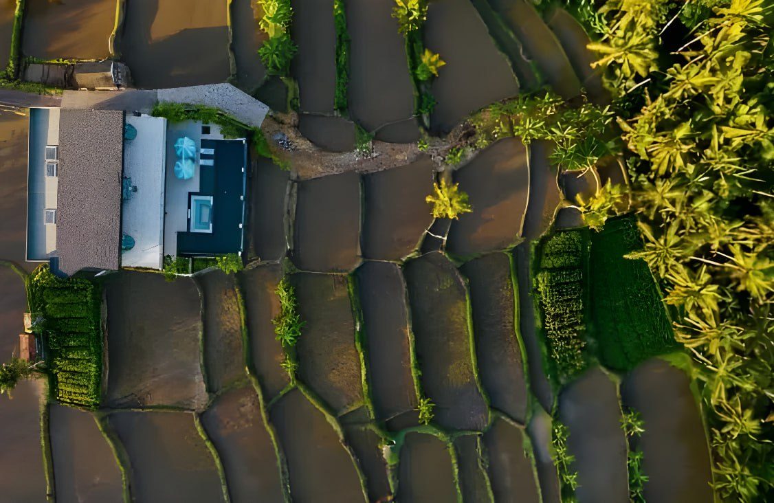 Designer Villa Among the Jungle